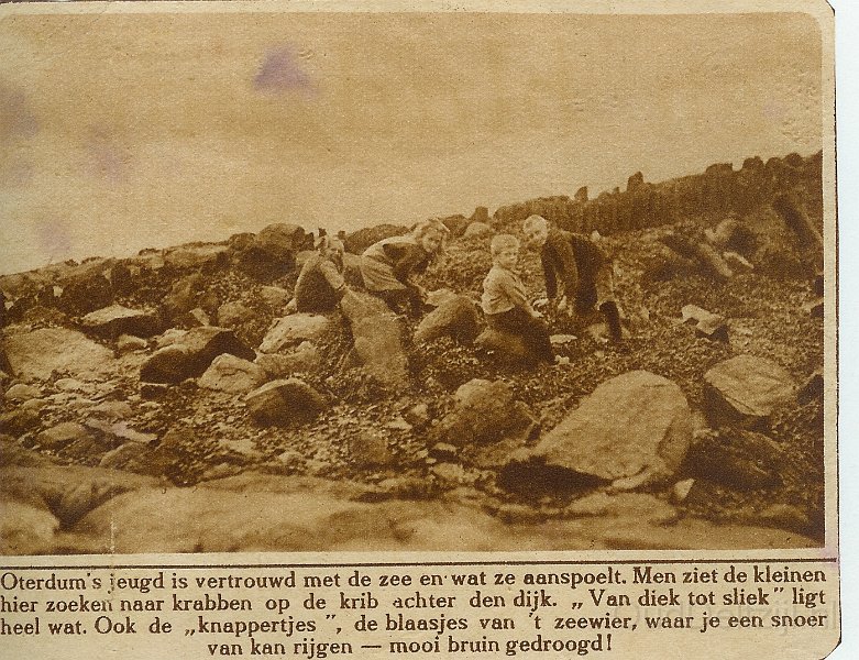 110.jpg