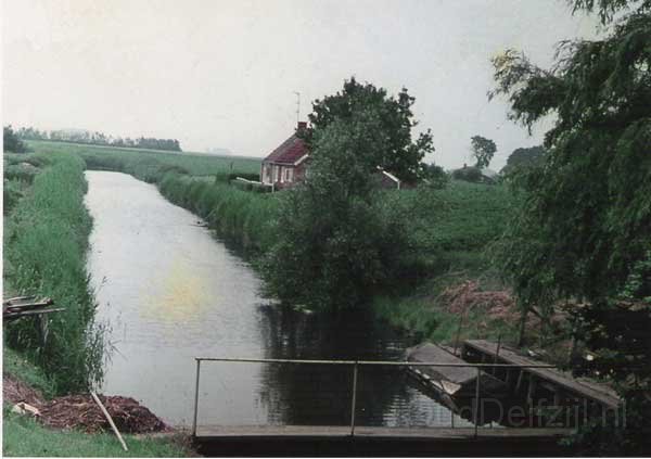 japoterdm_maar_600.jpg
