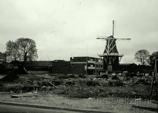 d.13.JPG