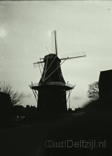 d.8.JPG